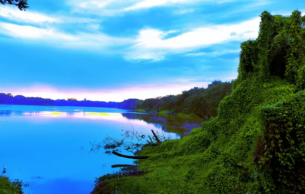 Sun, Water, Sunrise, Dawn, Morning, Lake, Trees, Reflection