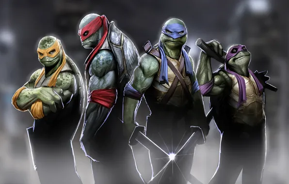 Tmnt, turtles, raphael, teenage mutant ninja turtles, donatello, leonardo, michelangelo, ninja