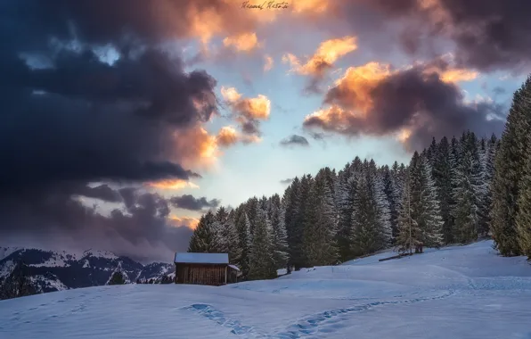 Зима, лес, небо, облака, снег, горы, Альпы, домик