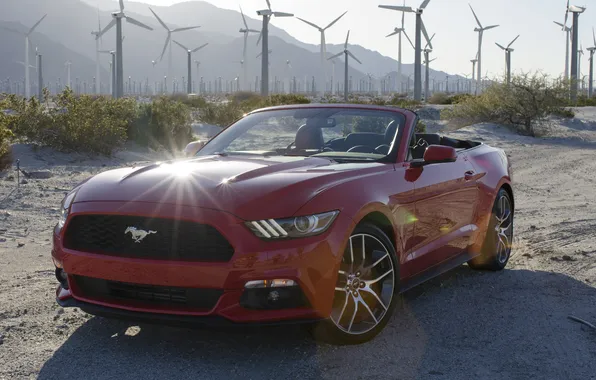 Mustang, Ford, мустанг, форд, Convertible, 2014
