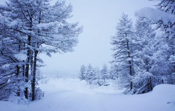 Картинка зима, снег, Пейзаж, снежная долина