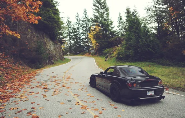 Дорога, осень, листья, деревья, Honda, S2000