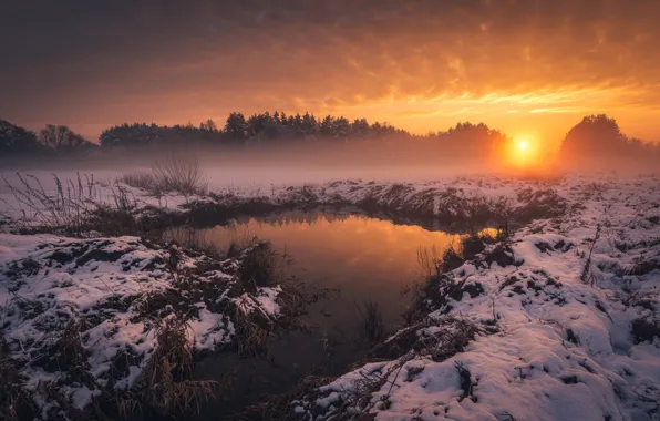 Śnieg, Zima, Drzewa, rzeka