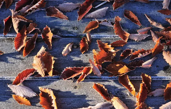 Картинка осень, листья, доски