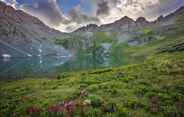 Картинка цветы, горы, природа, озеро, отражение