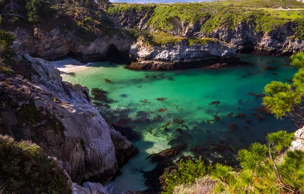 Картинка море, камни, скалы, побережье, бухта, Калифорния, США, Point Lobos State Park