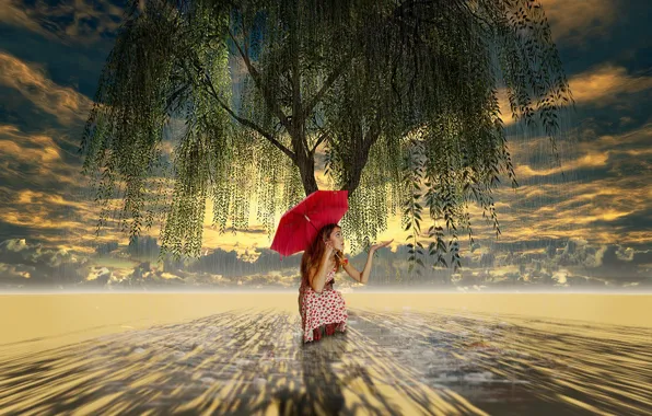 Картинка дерево, зонт, арт, девочка, плакучая ива