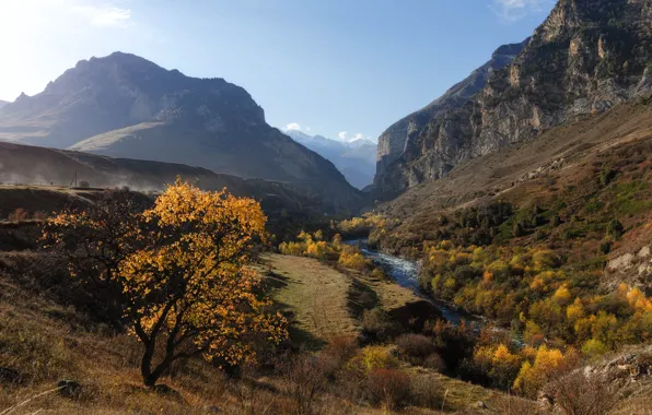 Картинка осень, пейзаж, горы, природа, река, Кабардино-Балкария, Юрий Шевченко, Чегемское ущелье