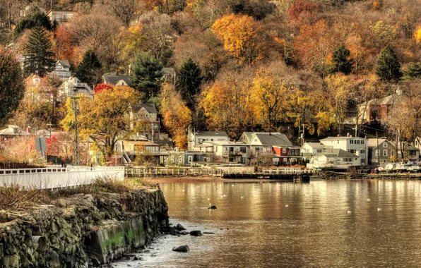 Картинка осень, вода, поселок