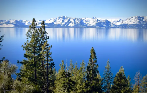 Картинка деревья, горы, озеро, Калифорния, Невада, California, Nevada, Сьерра-Невада