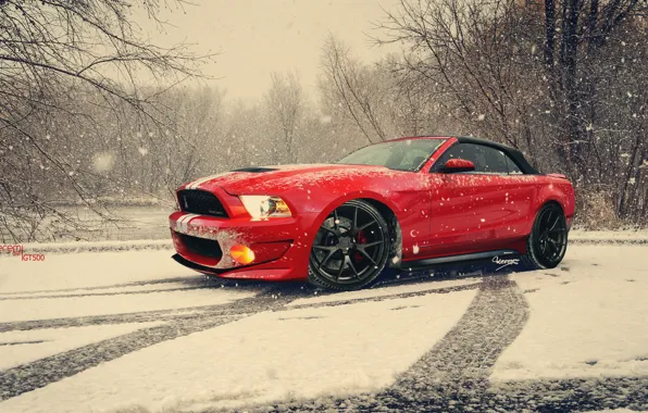 Red, tuning, snow, photoshop, Gt500, keremcayci