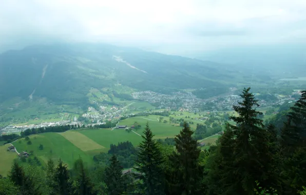 Лес, облака, деревья, туман, Швейцария, долина, деревня, Switzerland
