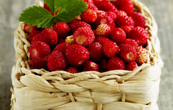Ягоды, корзина, земляника, berries, basket, strawberries