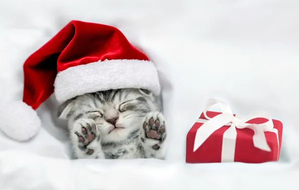 Картинка котенок, подарок, Рождество, Christmas, kitten, gift, cute, santa hat