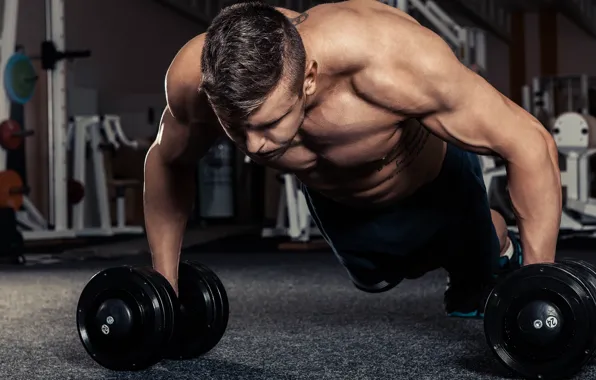 Поза, мышцы, тренировка, атлет, гантели, бицепс, бодибилдер, training
