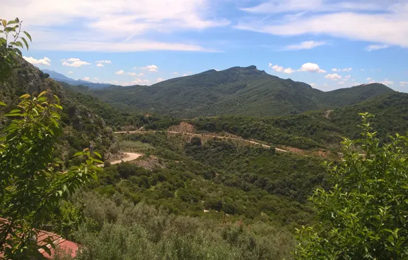 Road, trees, mountain