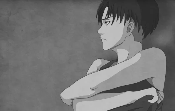 Арт, парень, Shingeki No Kyojin, Атака титанов, Леви