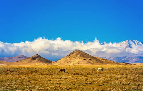 Sky, field, clouds, hills, Tibet