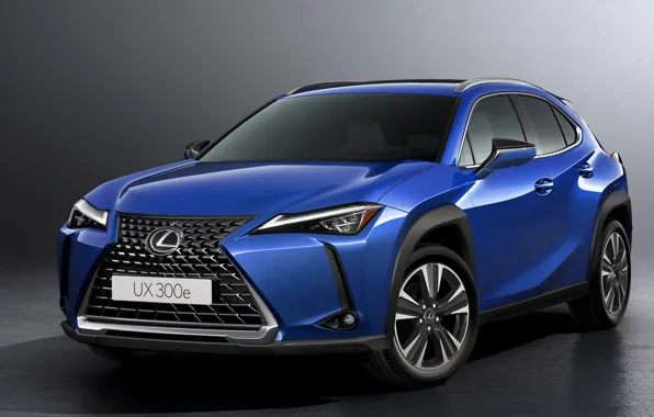 Электро, кроссовер, 2022, Lexus UX300e