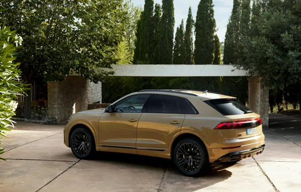 Картинка car, Audi, trees, Q8, Audi Q8 2024