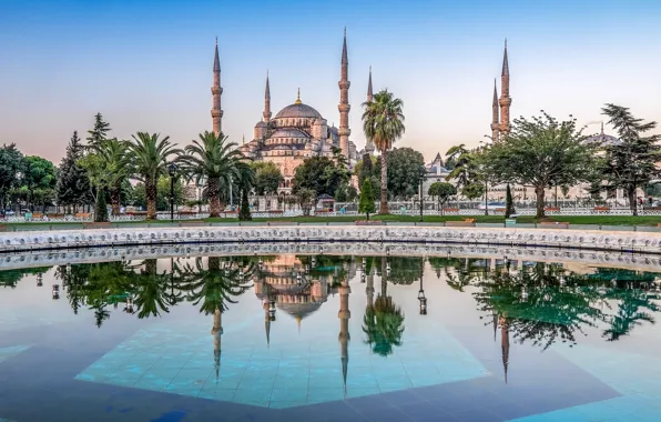 Деревья, отражение, пальмы, бассейн, Стамбул, Мечеть Султана Ахмета, Турция, Istanbul
