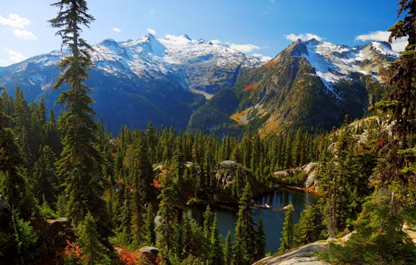 Wallpaper, nature, lake