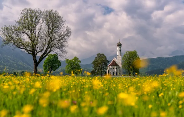 Деревья, цветы, горы, Германия, Бавария, Альпы, луг, церковь