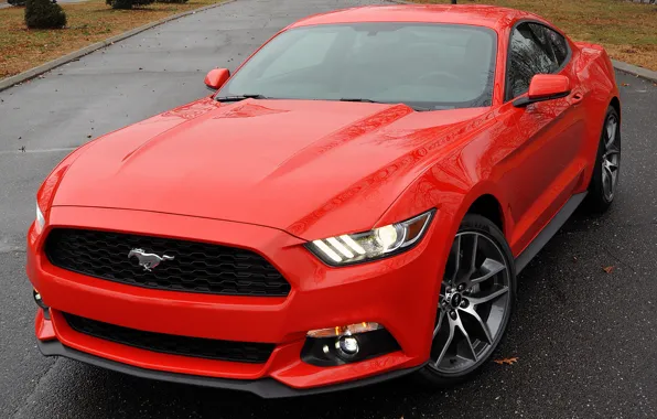Mustang, ford, coupe