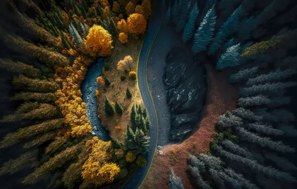 Дорога, осень, лес, пейзаж, colorful, dark, forest, road