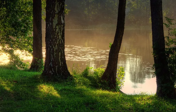 Картинка природа, туман, река, фото, Польша