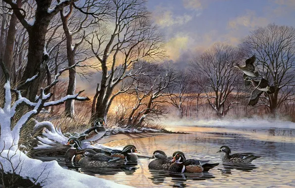 Картинка зима, закат, озеро, рассвет, утки, живопись, стая уток, полынья