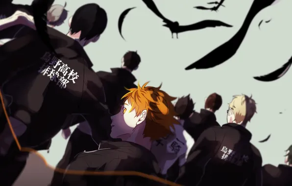 Команда, парни, Волейбол, Haikyuu!!, Карасуно