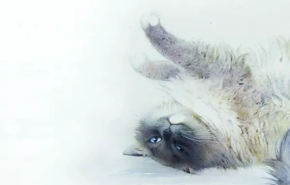 Картинка кошка, кот, картина, арт, акварель, лежит, потягивается