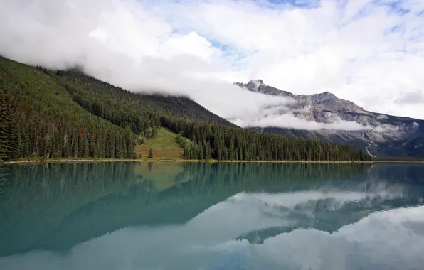 River, nature, lake