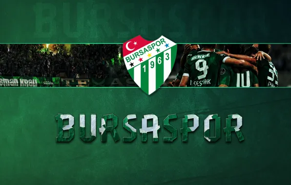 Wallpaper, sport, logo, football, Bursaspor