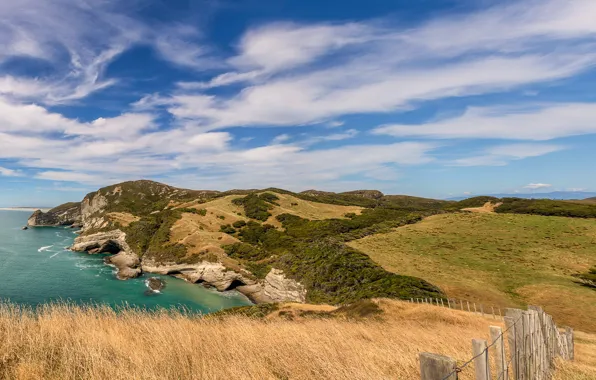 Картинка New Zealand, Tasman, Puponga