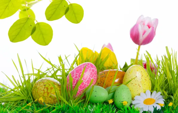 Цветы, яйца, Пасха, тюльпаны, Easter