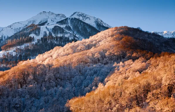 Зима, снег, деревья, пейзаж, природа, обои, гора, край
