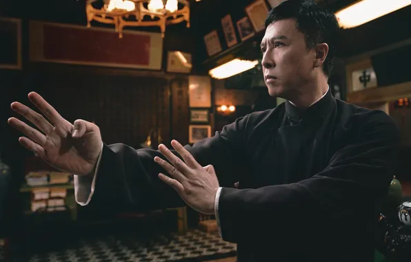 Картинка Donnie Yen, Ip Man, Wing Chun