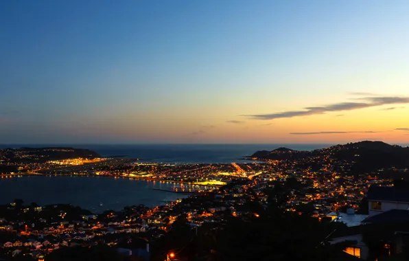 Море, ночь, огни, побережье, дома, Новая Зеландия, панорама, Wellington