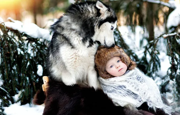 Зима, снег, ребенок, собака, дружба, хаски