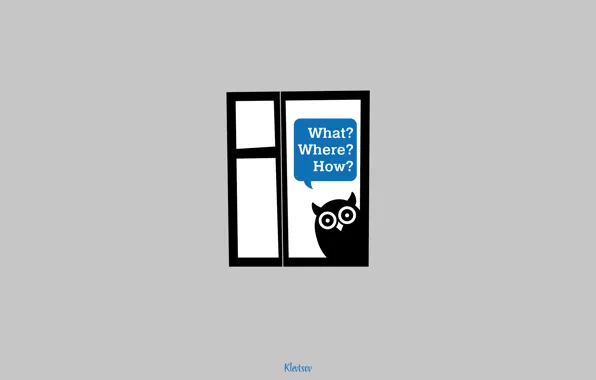 Сова, окно, window, филин, what, owl, where, how