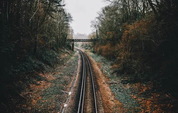 Осень, деревья, мост, путь, железная дорога