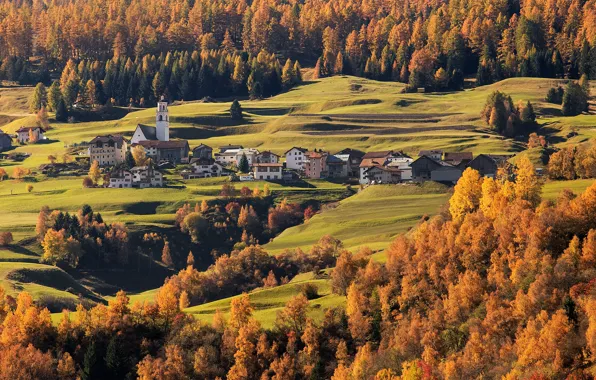 Картинка осень, деревья, Швейцария, долина, городок, Switzerland, Граубюнден, Grisons