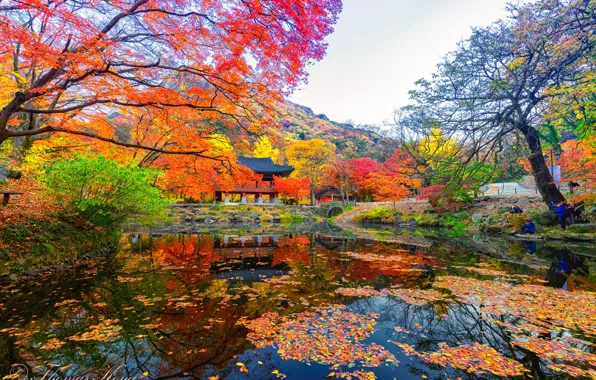 Пруд, беседка, South Korea, краски осени, Южная Корея, Naejangasan