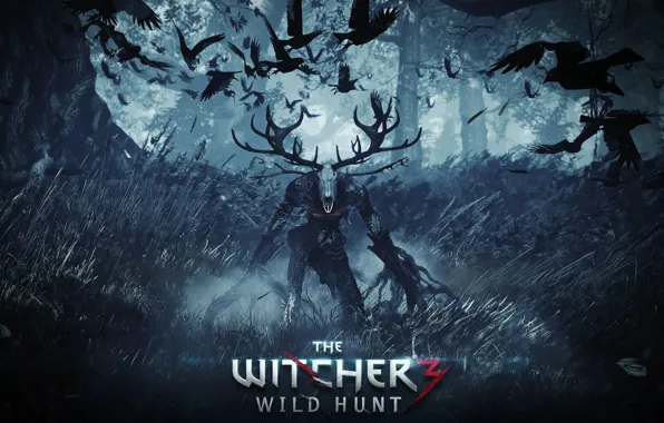 Картинка Ведьмак, Witcher, The Witcher 3 Wild Hunt, Ведьмак 3 Дикая Охота