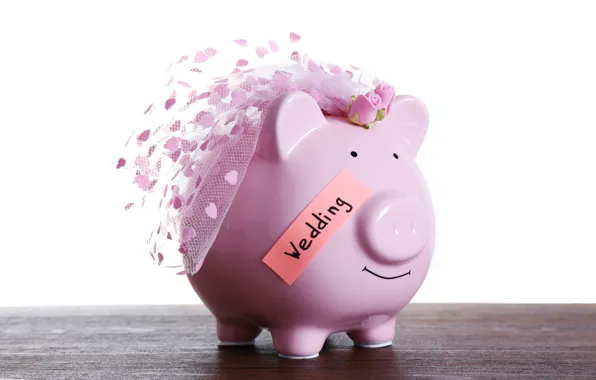 Party, money, wedding, savings