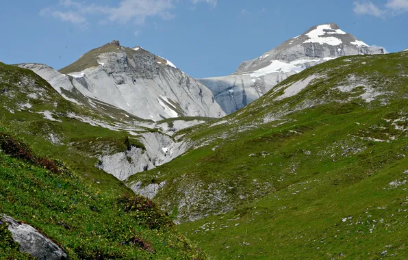 Картинка небо, трава, снег, цветы, вершины, Италия, горная цепь, Монте Бальдо