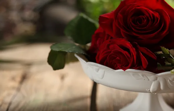 Листья, цветы, букет, бутоны, flowers, leaves, bouquet, red roses