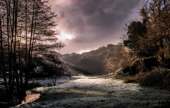 Картинка trees, landscape, nature, sun rays, frost, creeks